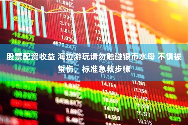 股票配资收益 海边游玩请勿触碰银币水母 不慎被蜇伤，标准急救步骤